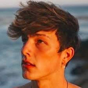 Taylor holder